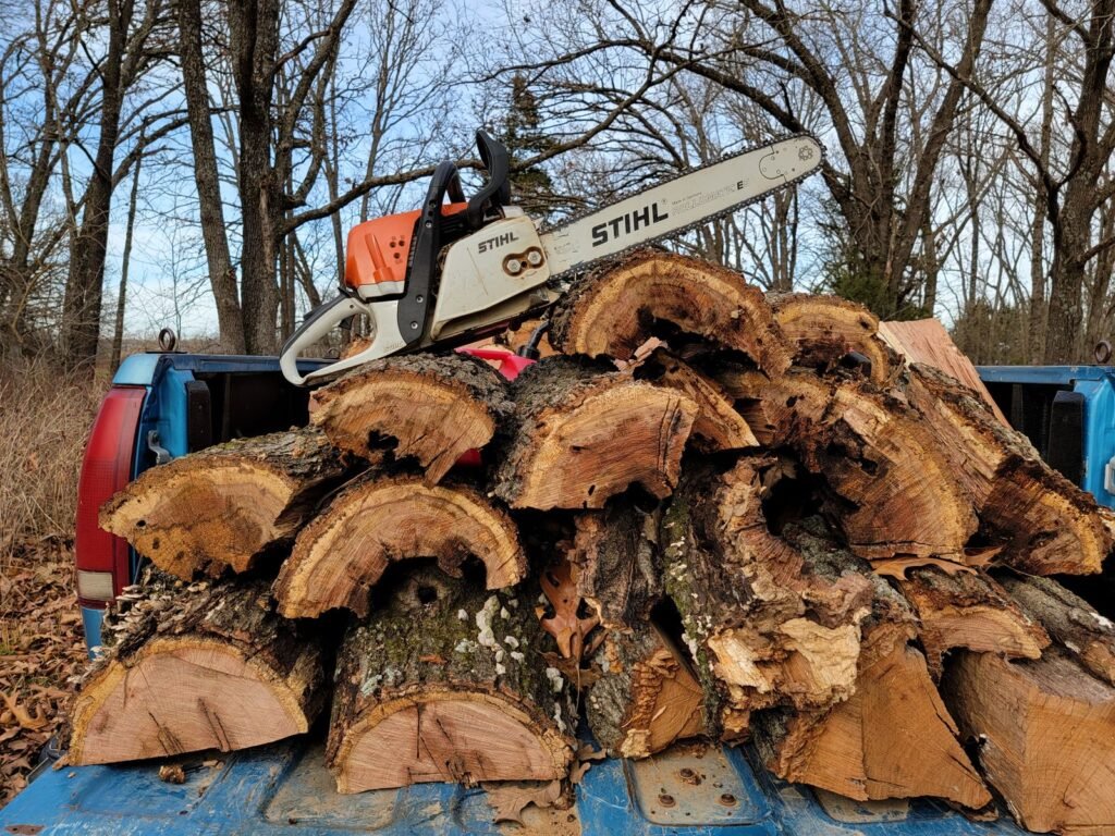 Tronçonneuse posée sur des bûches fraîchement coupées en forêt