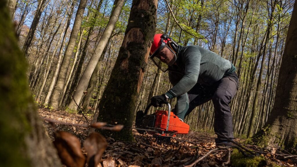 Utilisateur en tenue de sécurité complète travaillant à la tronçonneuse en forêt