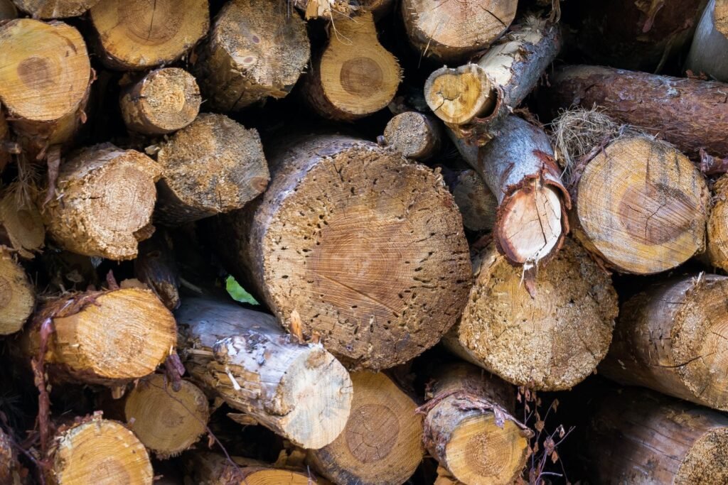 Gros plan sur des bûches de bois de chauffage empilées