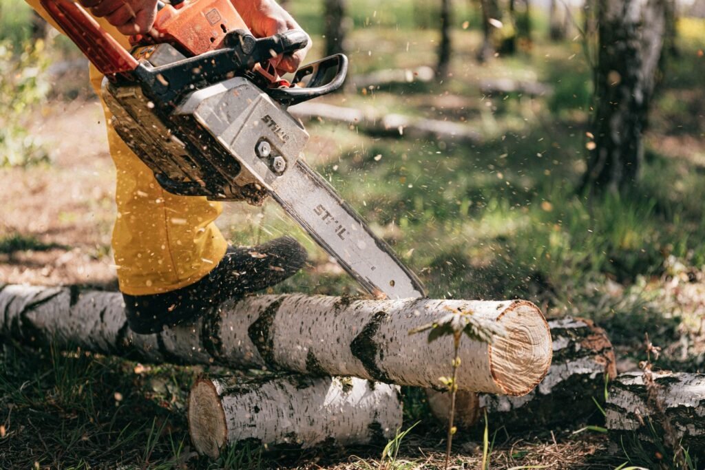 Utilisateur coupant des bûches de bouleau à la tronçonneuse en forêt