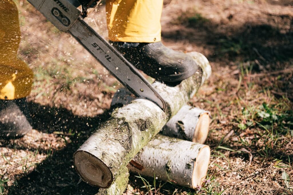 Utilisateur coupant des troncs d’arbre à la tronçonneuse en extérieur