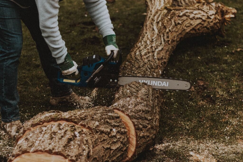 Tronçonneuse électrique sciant un long tronc d’arbre courbé