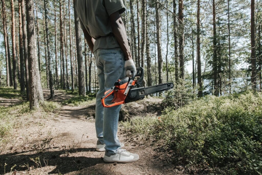 Utilisateur tenant une tronçonneuse dans une forêt ensoleillée